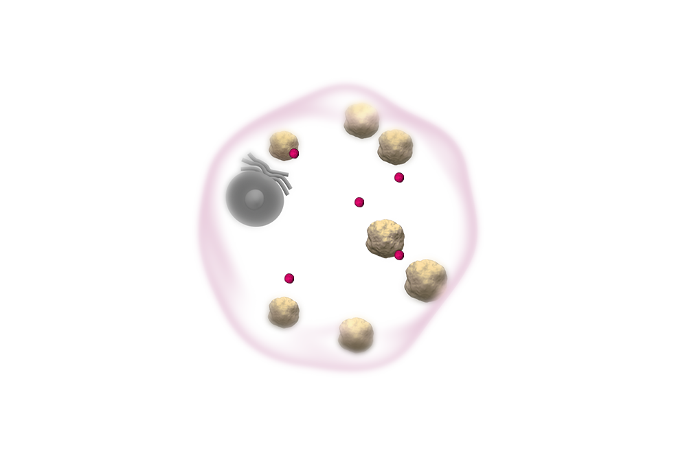 Resulting cell